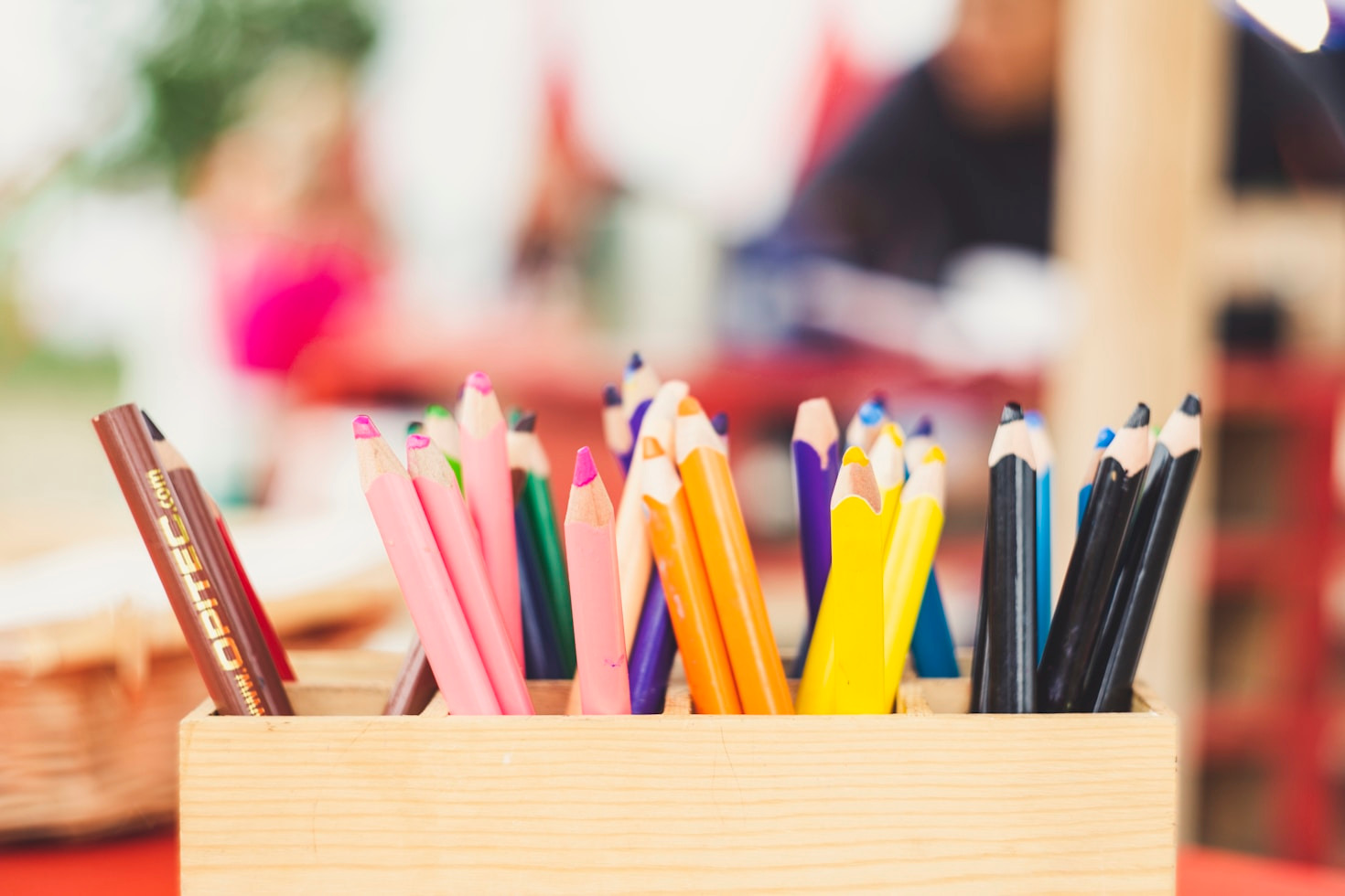Programs That Encourage Young Minds to Thrive